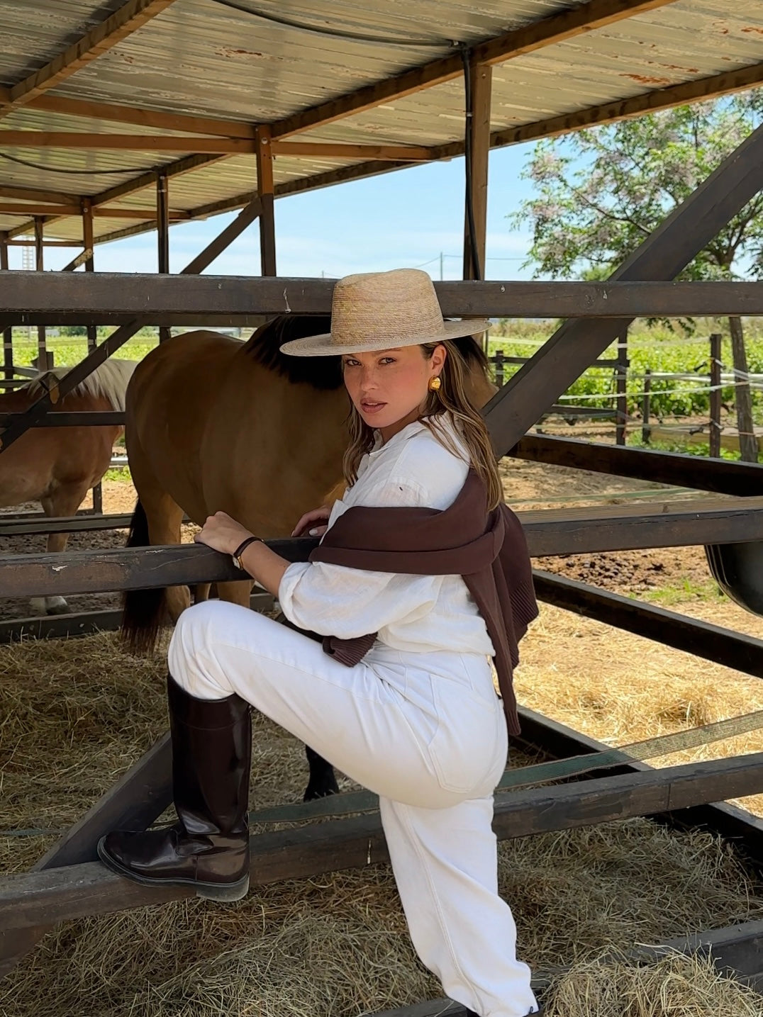 Alicante: Private Horseback Ride + Picnic + Pick up