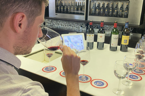 Excellence Wine Tasting in Bordeaux