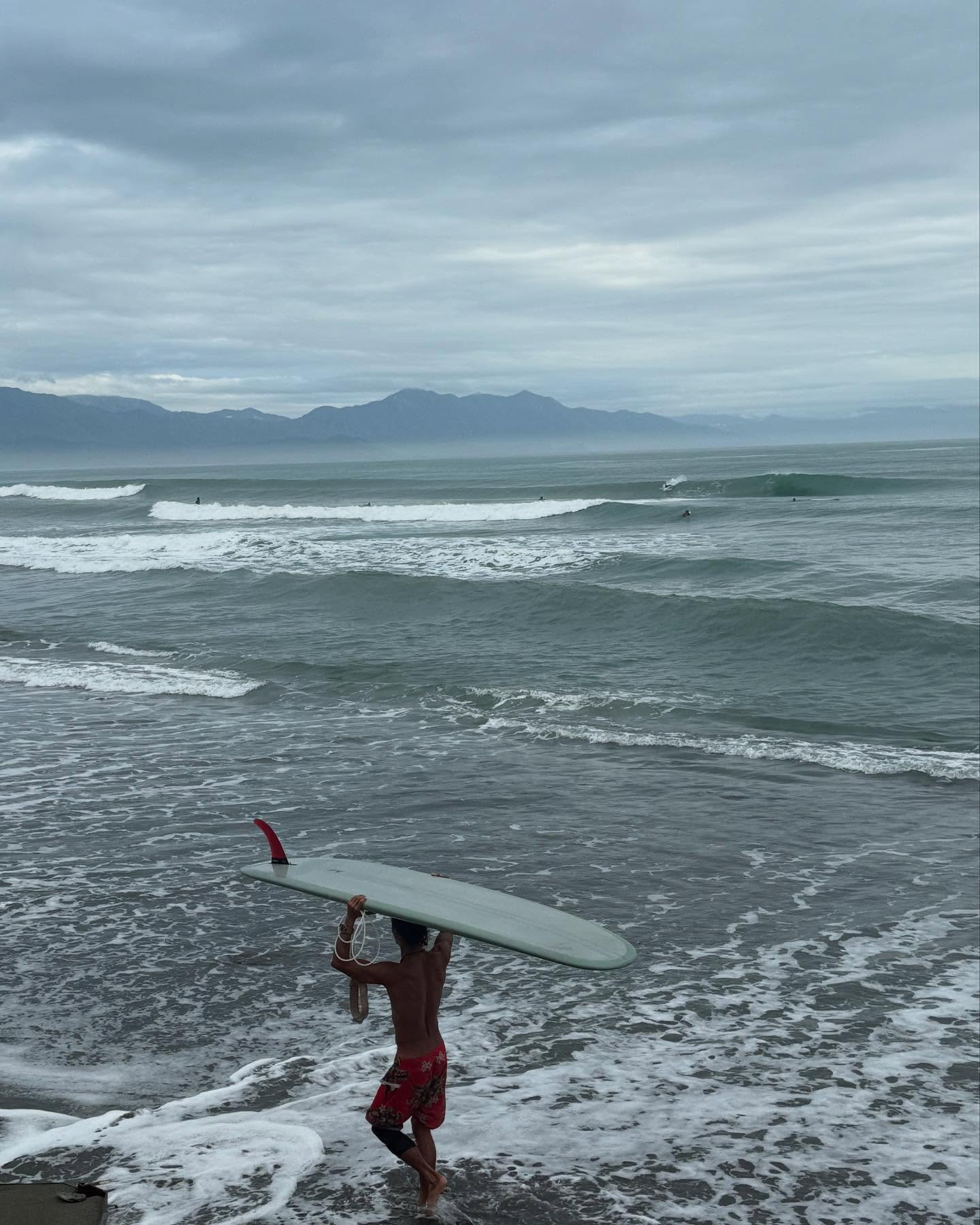 Aurora: Coastal Horseback Ride Beach Adventure + Pick-up Available