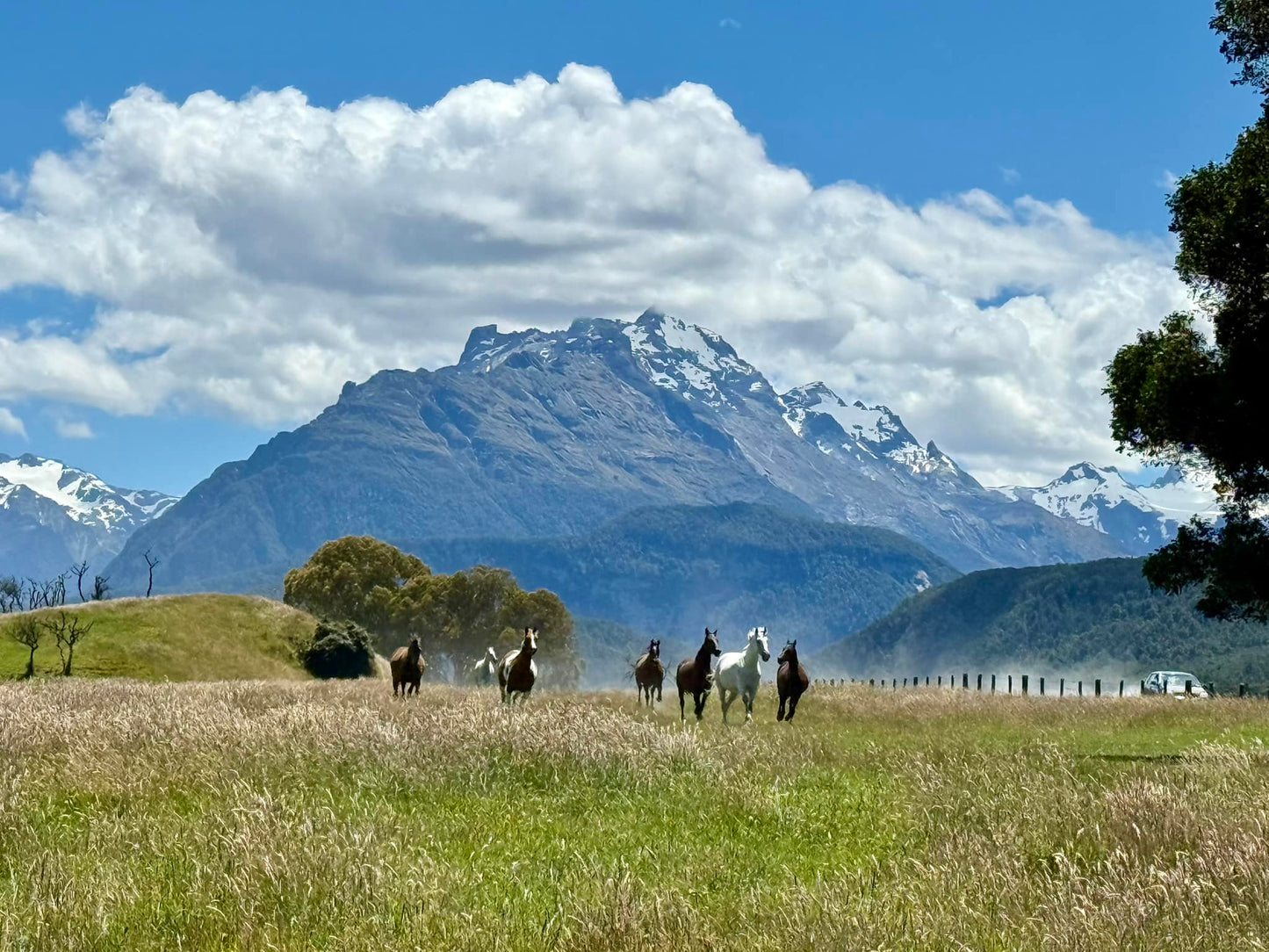 Guanacaste: Nature Horseback Ride + Hotel Pick-up