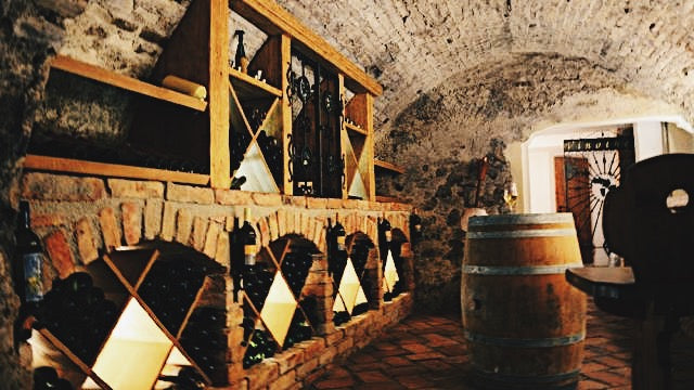 Half-Day Exclusive Wine Tasting and Lunch in the Austrian Countryside Weinviertel