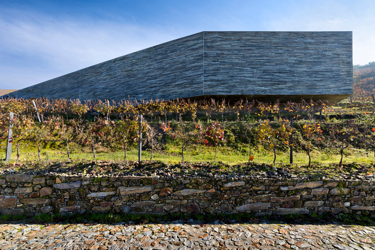 Visits & Tastings at Quinta do Vallado near Porto