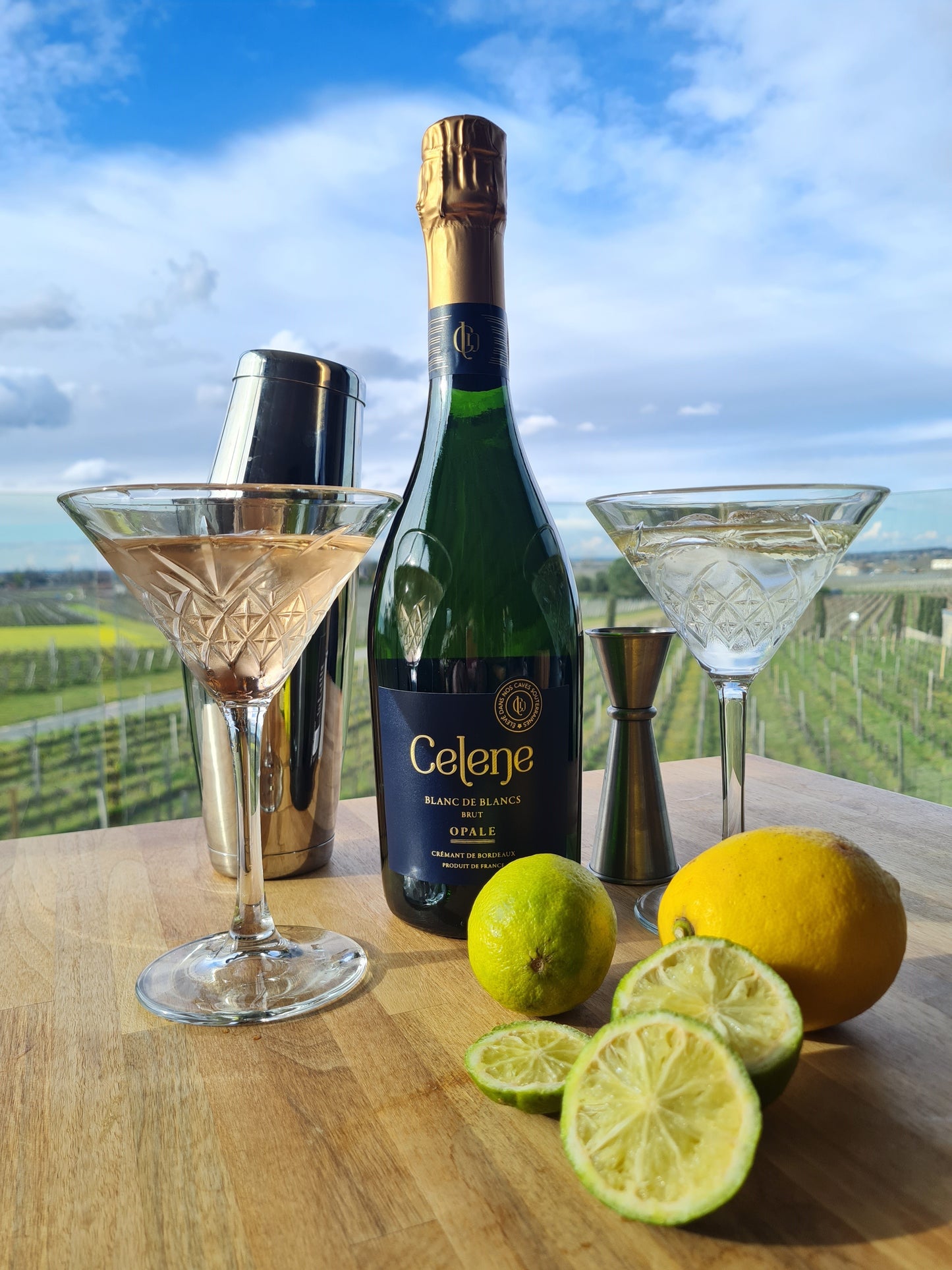 Cocktail Creation & Wine Tasting in a Bordeaux Château