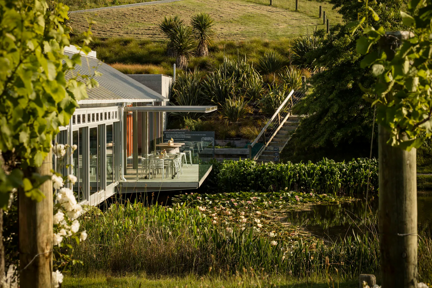 Auckland: Horseback Riding Through Vines with Wine & Dine