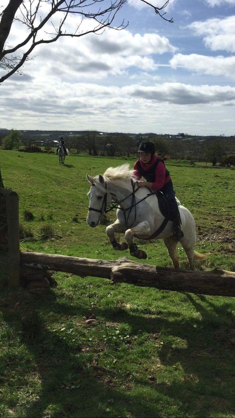 North Antrim: Private Horseback Ride Jumper Quest + Pick-up Available