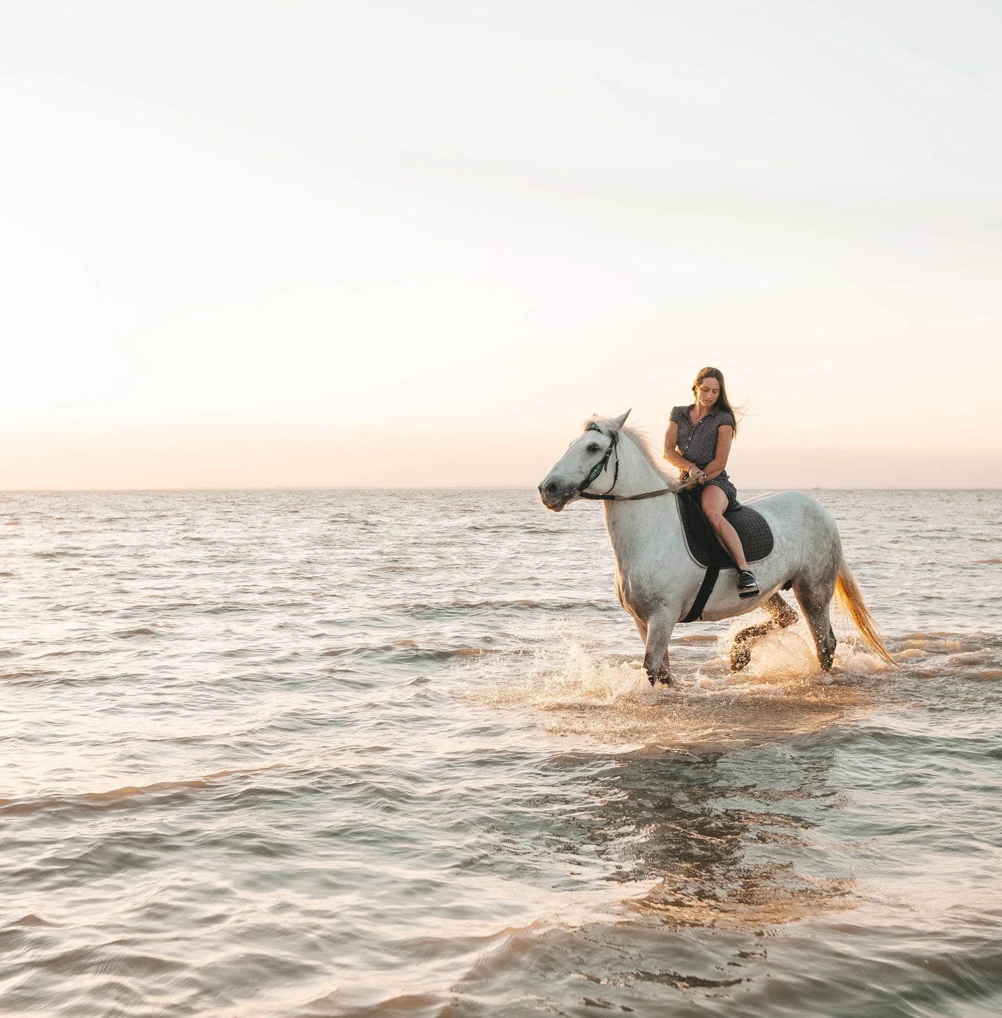 Ibiza: Private Coastal Horseback Ride with Cava