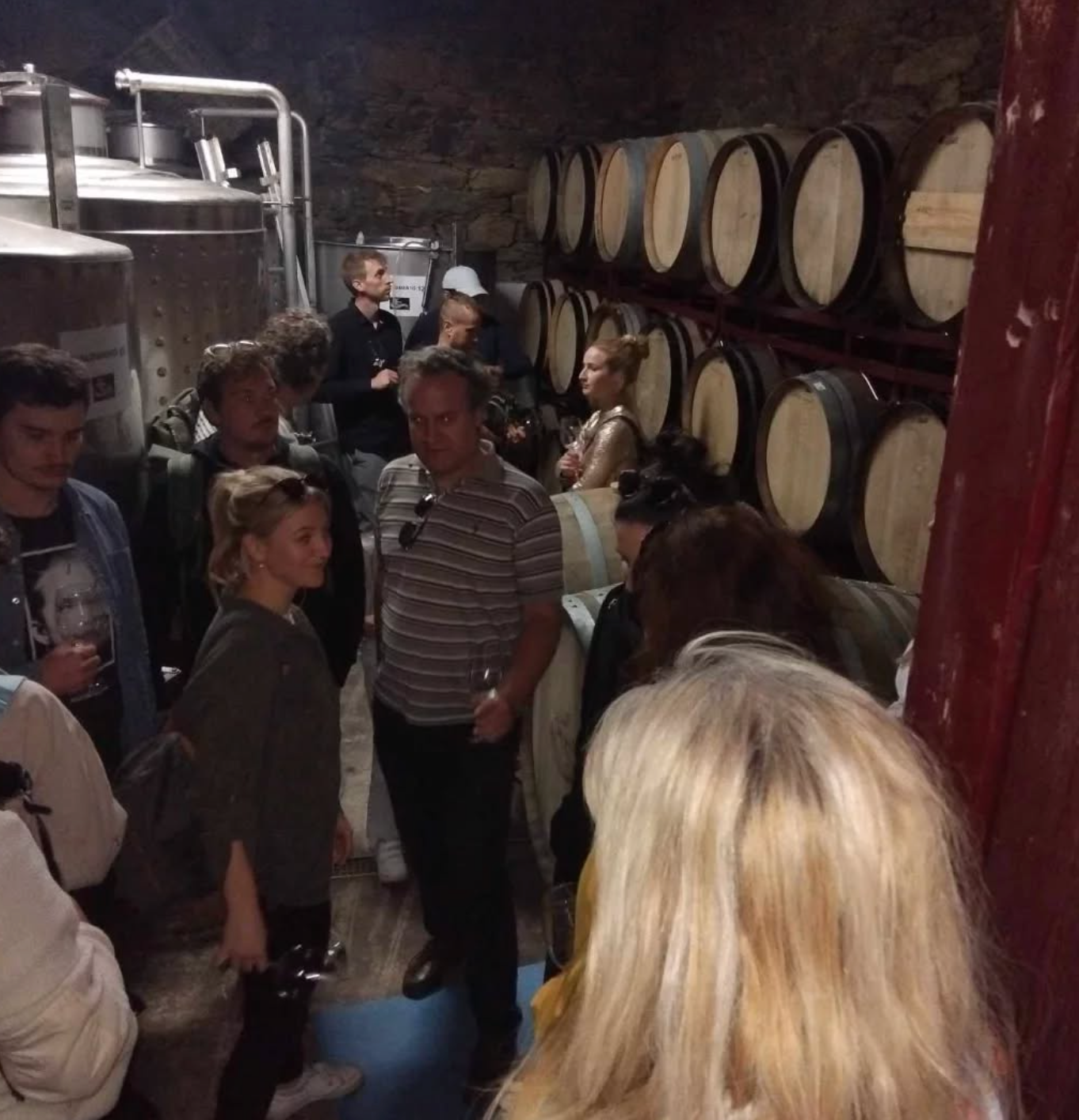 Wine Tasting and Vineyard Tour in Porto