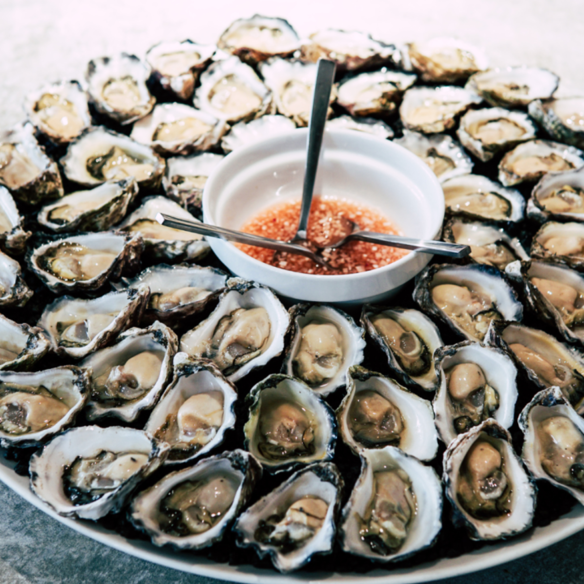 Lagos Oysters Tasting & Bubbles in Lagos