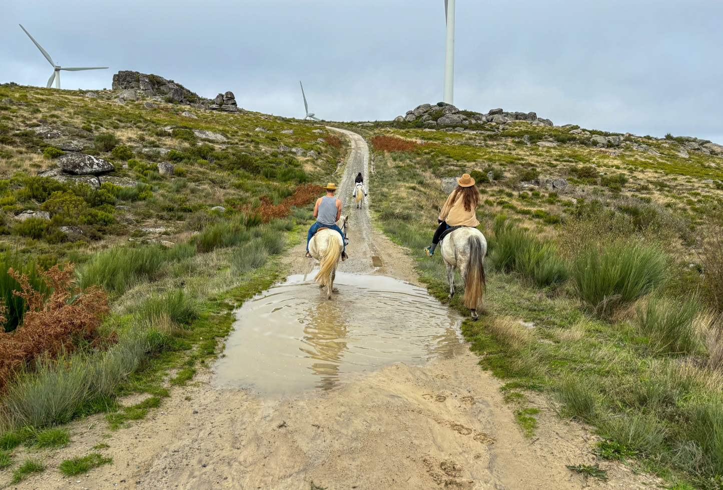 Horseback Ride Through the Majestic Douro in Porto