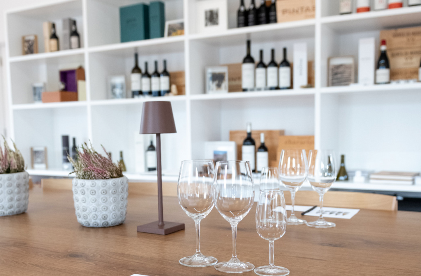 Premium Tasting at Quinta da Manoella near Porto