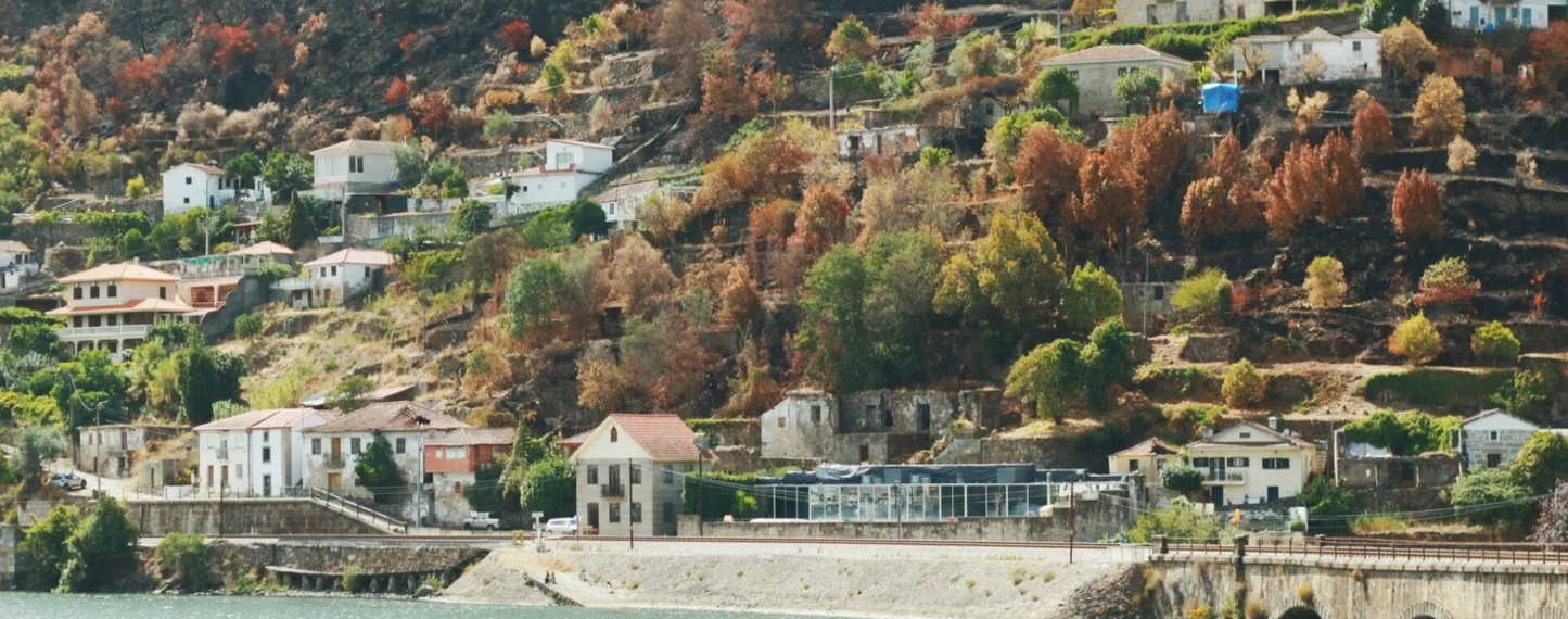 Douro Valley Private Wine Tour near Porto