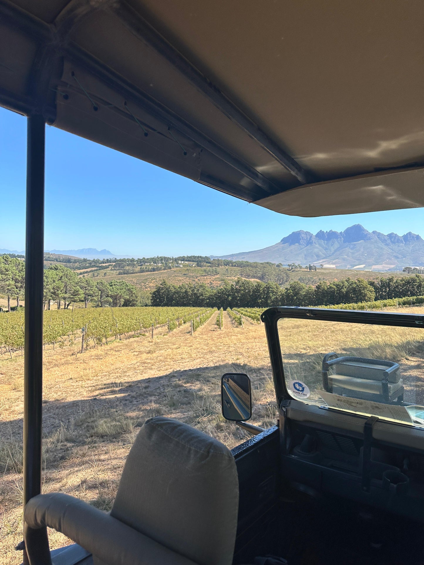 Cape Town: Gourmet Safari & Three-Course Feast