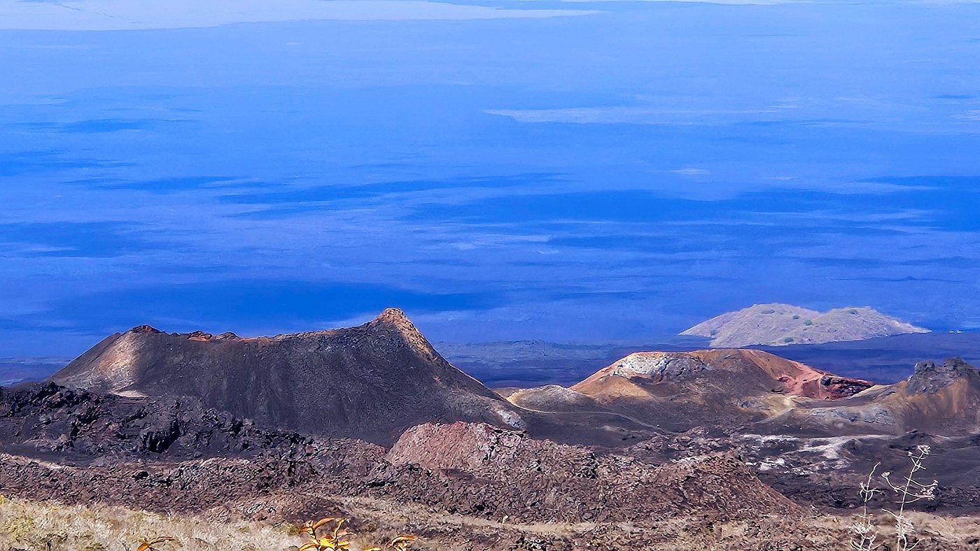 Isabela: Private Tropical Horseback Ride + Pick-up Available & Optional Lunch