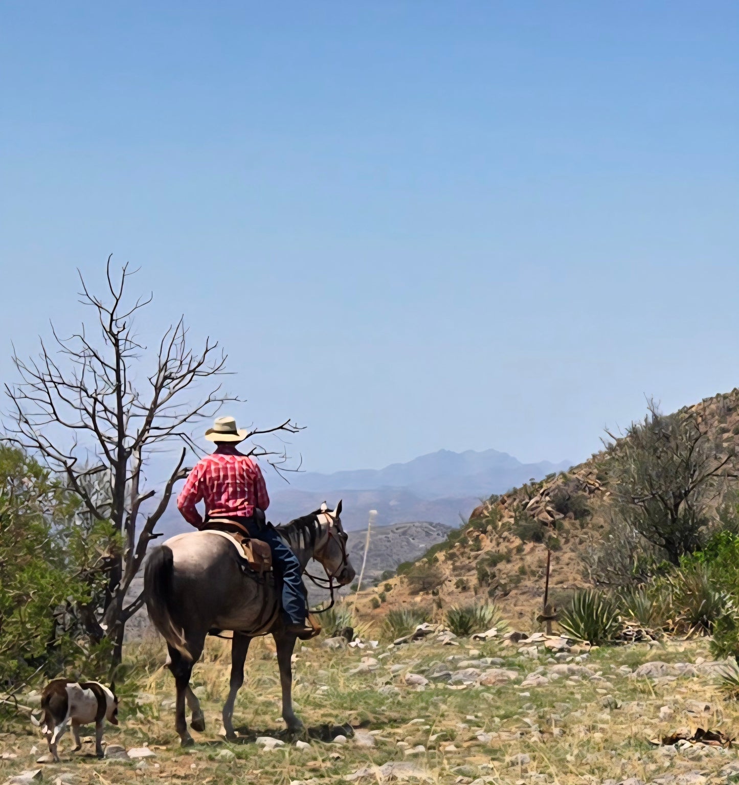 Elgin: The Adrenaline Horseback Ride