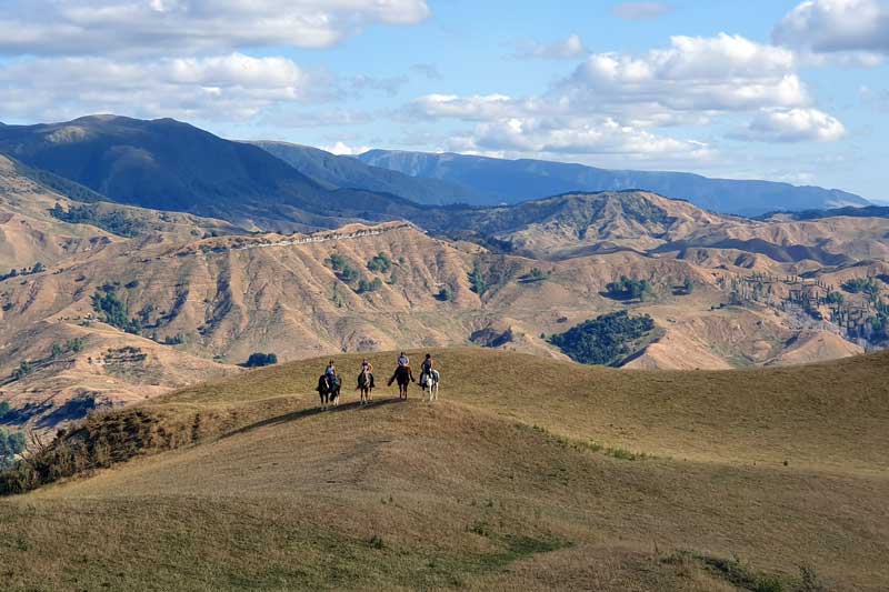 A Full-Day Ride in New Zealand’s Hill Country