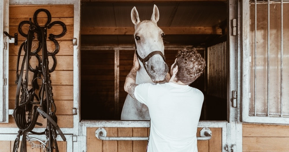 Vienna’s Fiaker Experience – From Stable to City with Breakfast