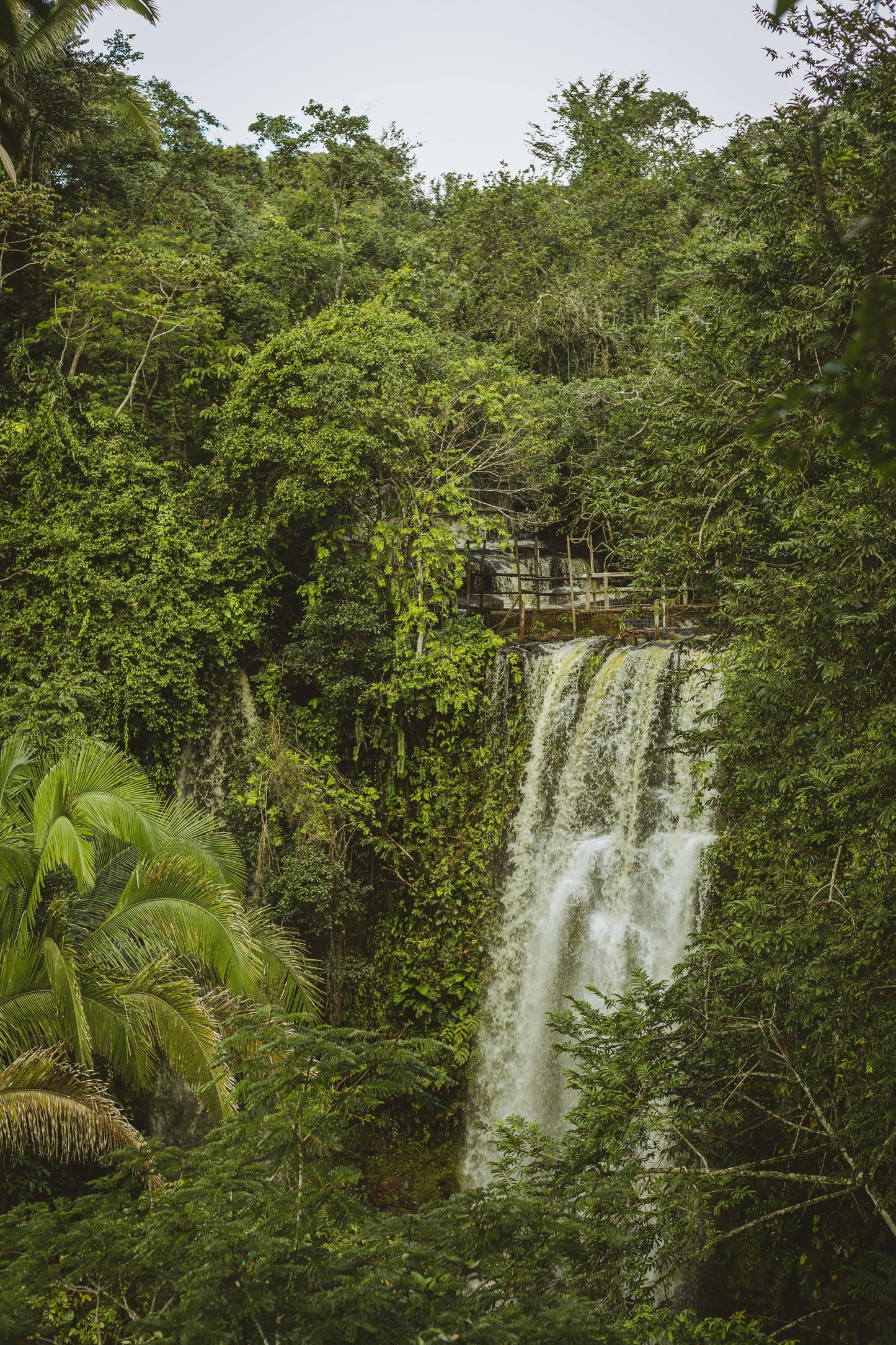Langkawi: Nature Coastal Ride Adventure