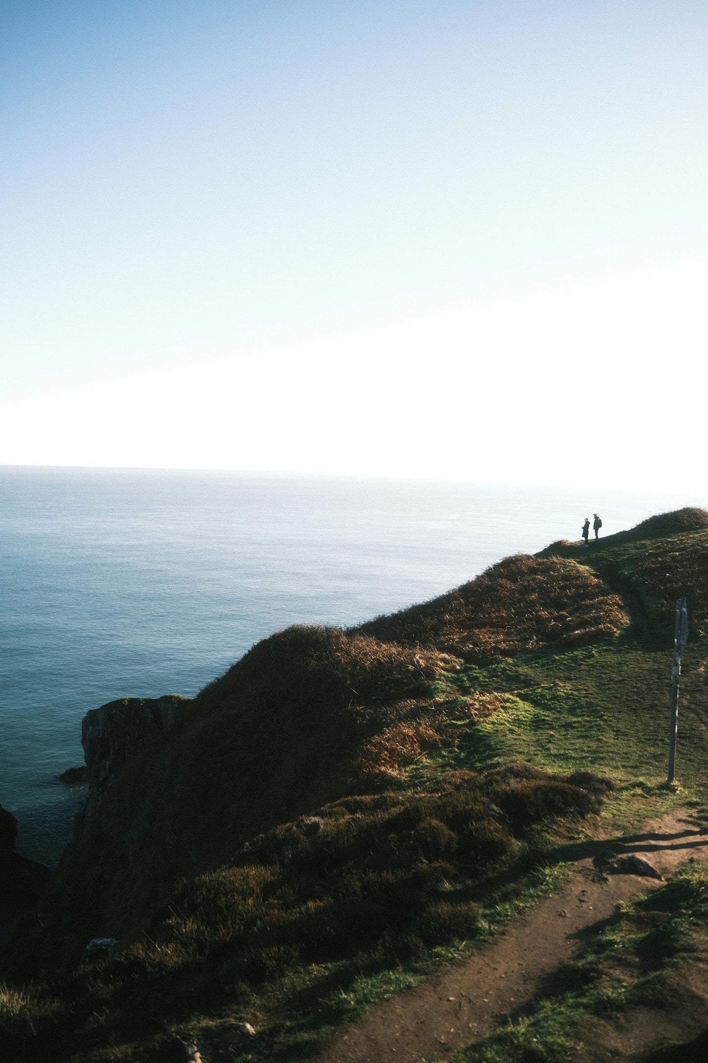 Dublin: Hidden Coastal Safari Trail Hike + Hot Drinks & Scones