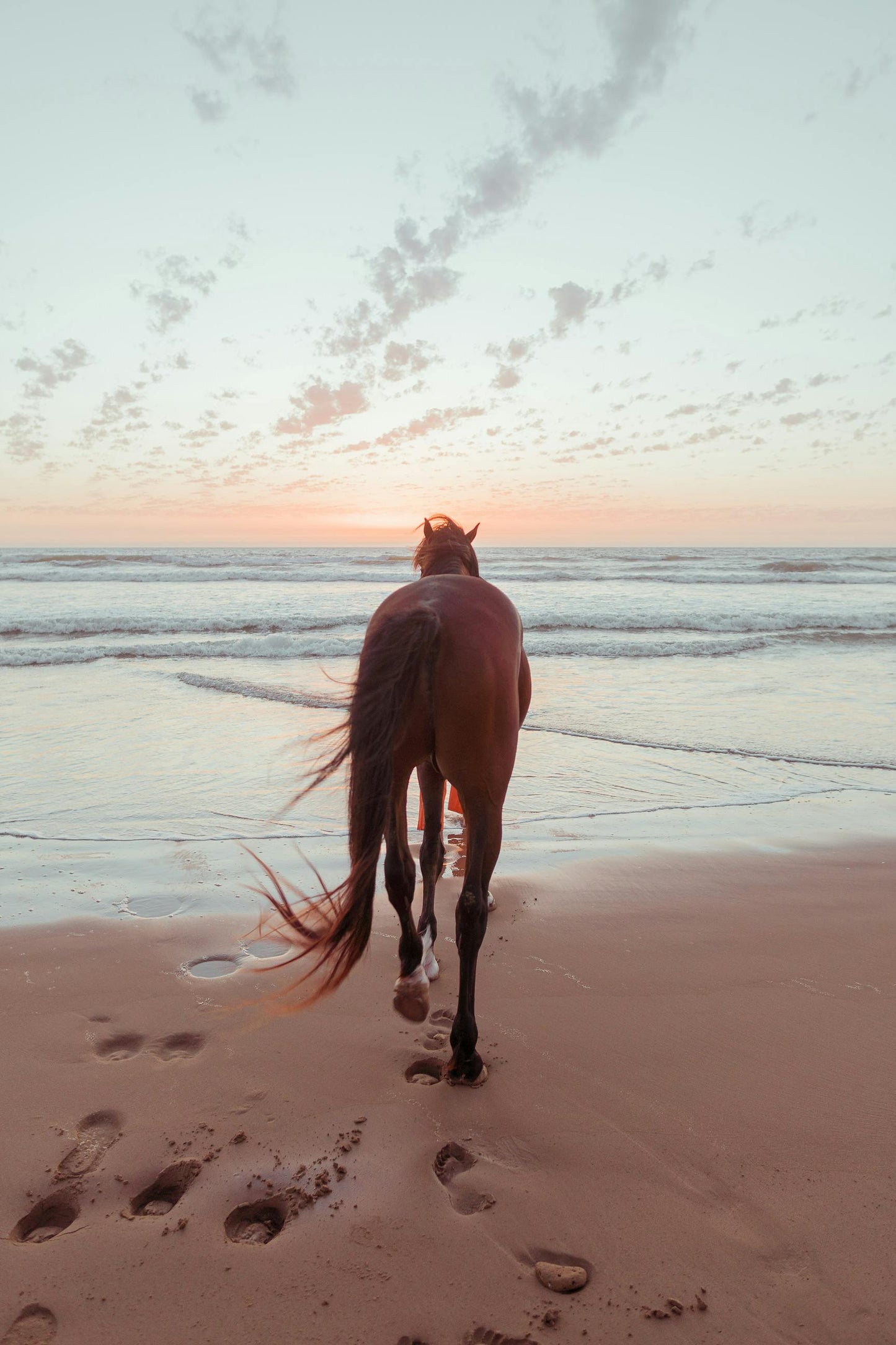 Kappalady: Quick 30-Minute Beach & Lagoon Horse Ride