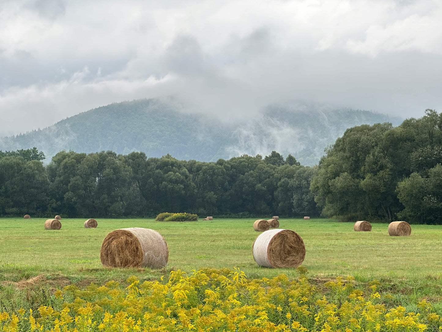 Kazbegi, Georgia: Truso Valley Horse Riding Tour + Pick-Up Available