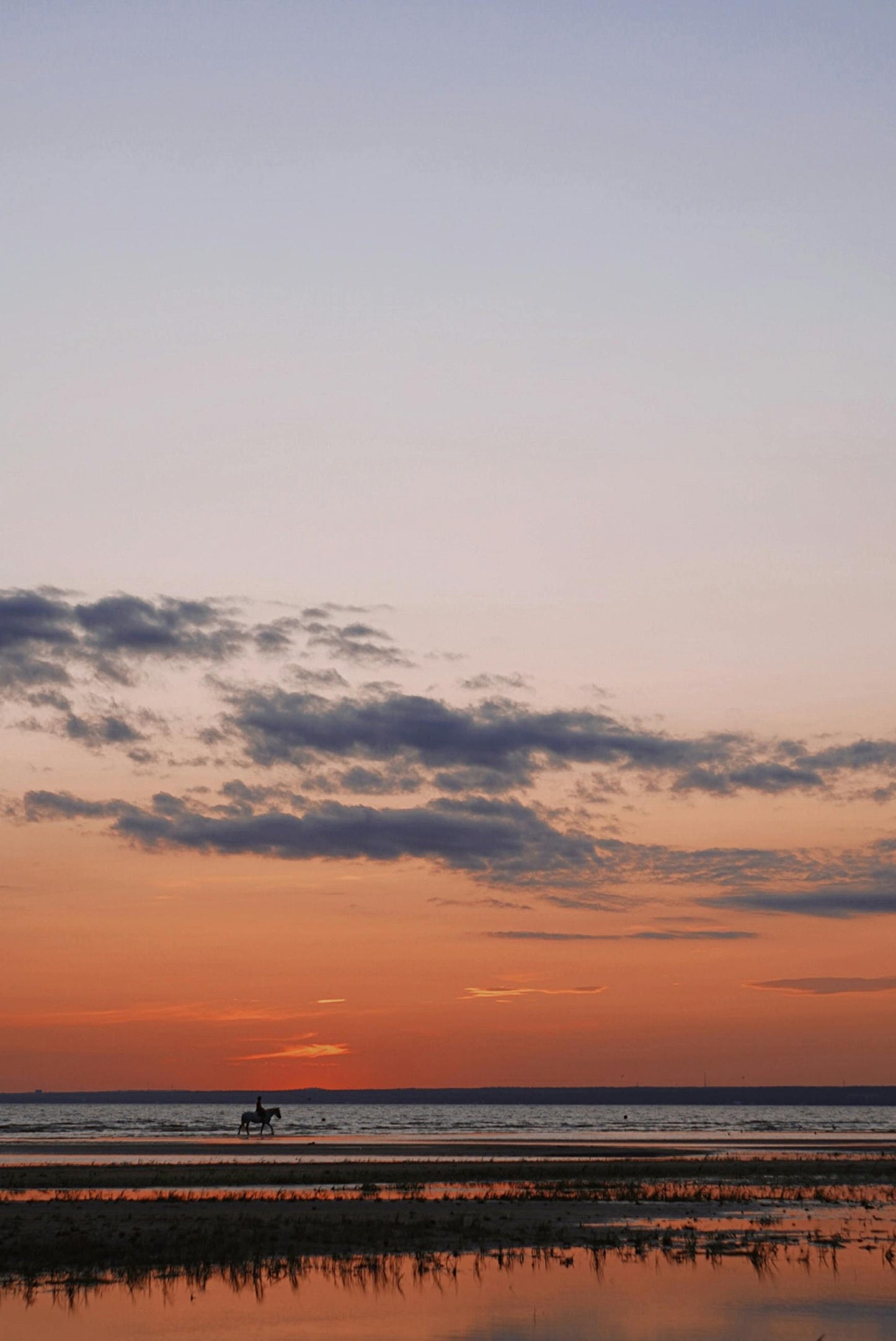 Langkawi: Beach Horseback Swim