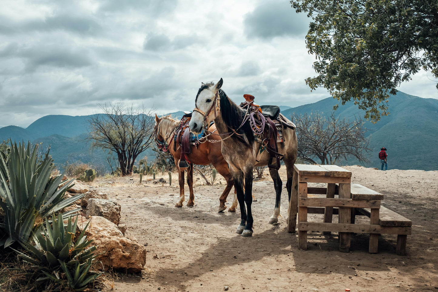 Oaxaca, Mexico: Countryside Horseback Journey