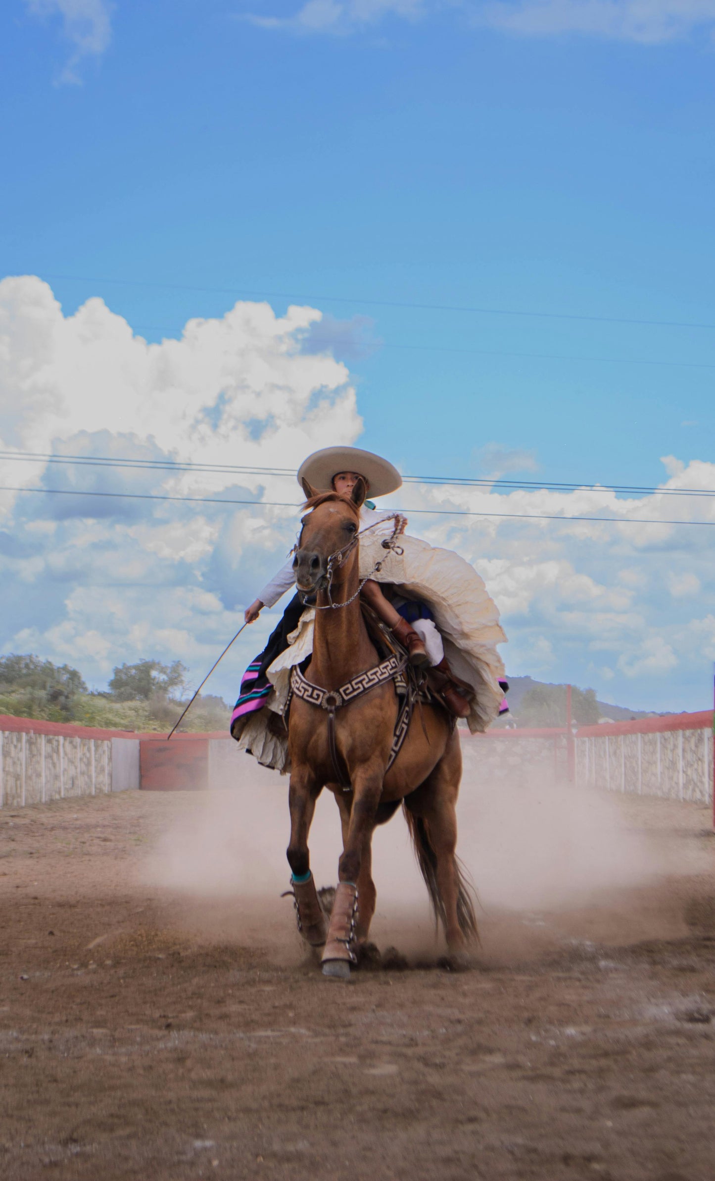 Arizona: Penning Full Lesson at Ranch + Pick-up Available