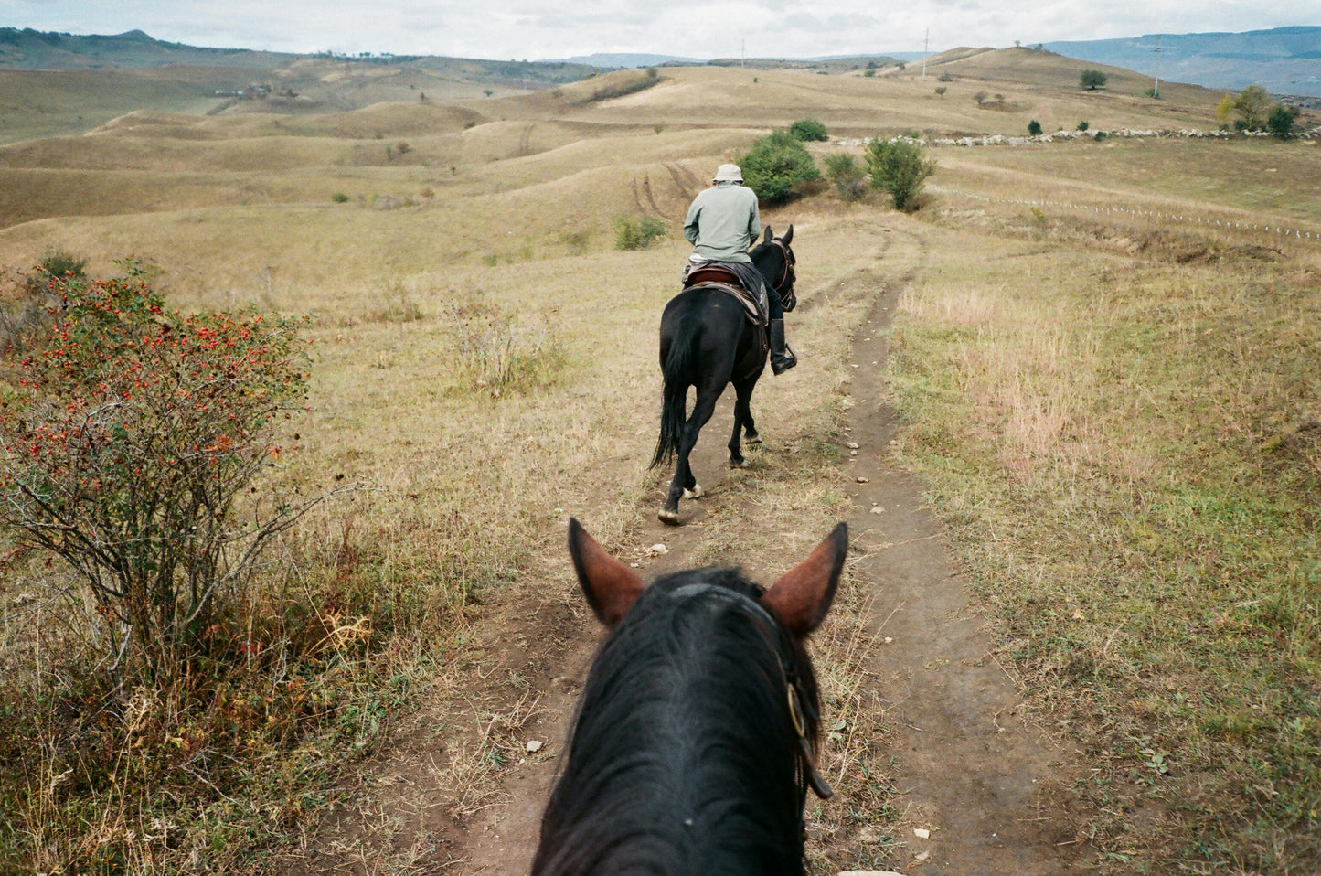 Asureti, Georgia: Full-Day Horseback Experience for Experienced Riders + Lunch