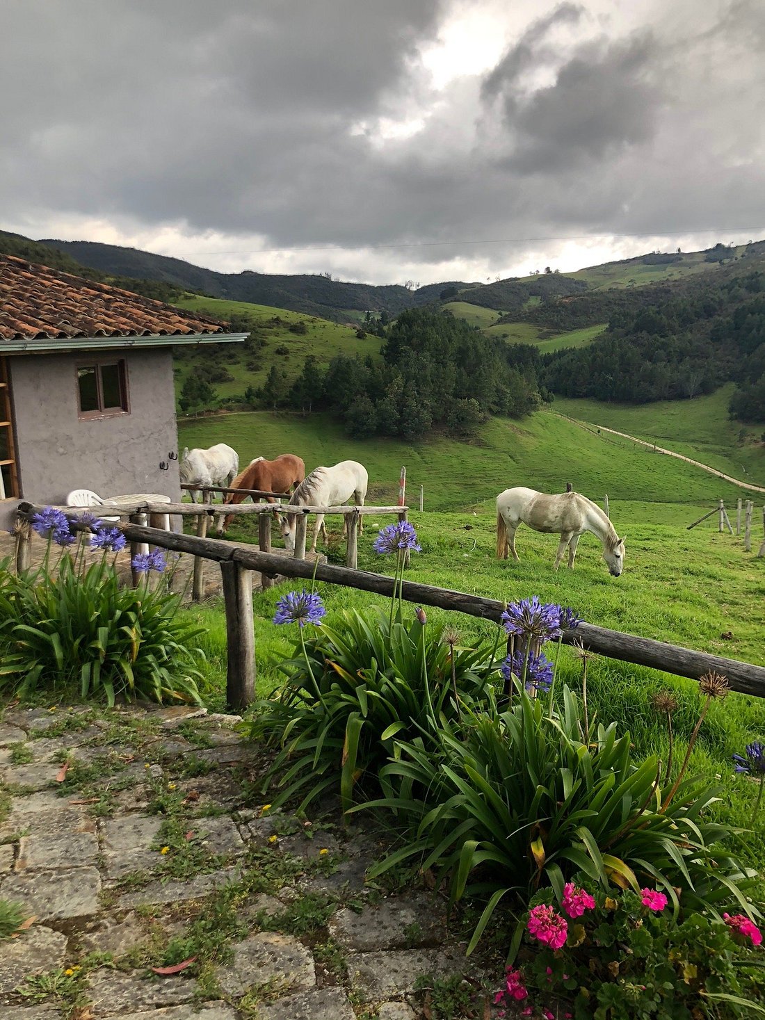 Puntarenas: Mountain & Farm View Horseback Ride + Pick-up Available