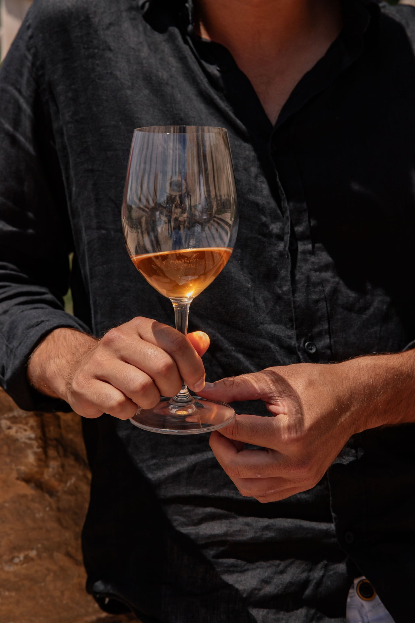 Ibiza: Sea View Vineyard Wine Tasting