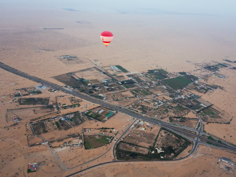 Desert Sunrise Balloon & Falcon Experience