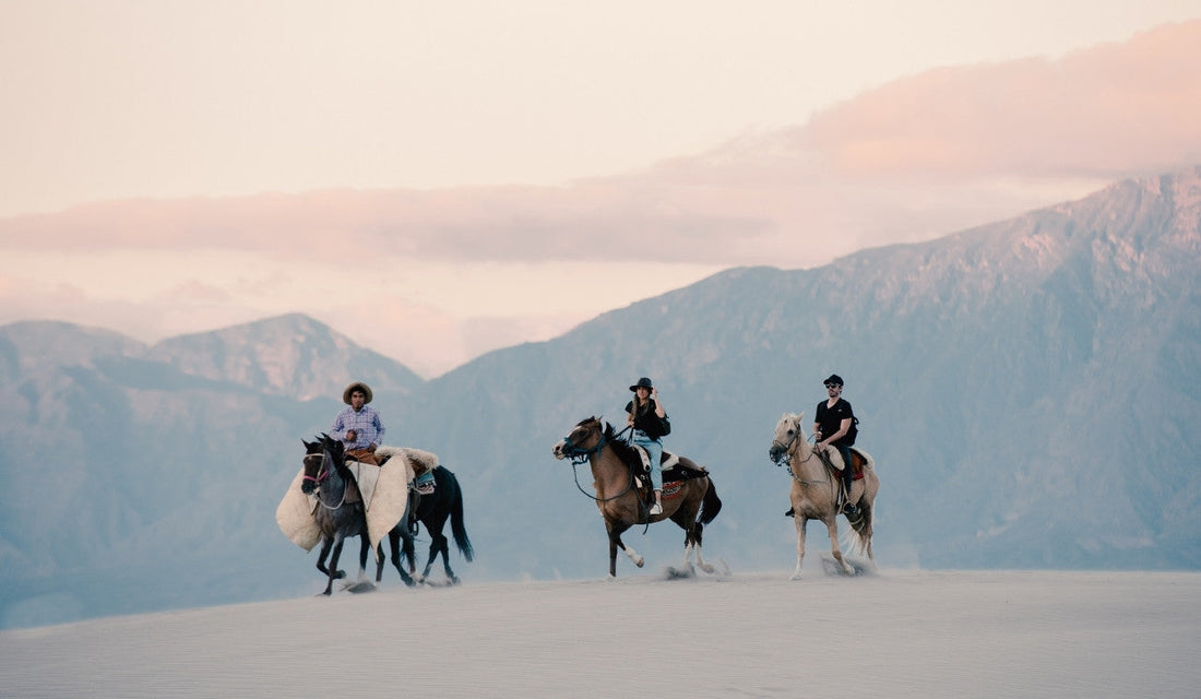 A Journey for the Senses: Horseback, Wine & the Soul of Argentina
