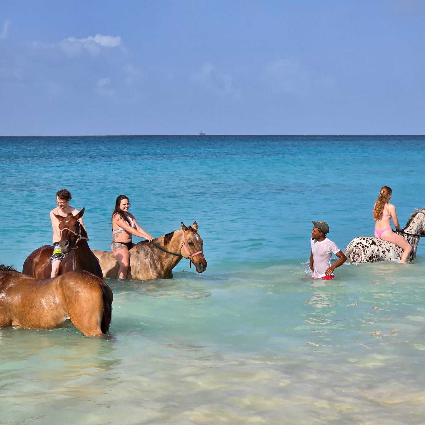 Brighton Beach, Barbados: 1.5-Hour Beach Ride & Swim with Horses