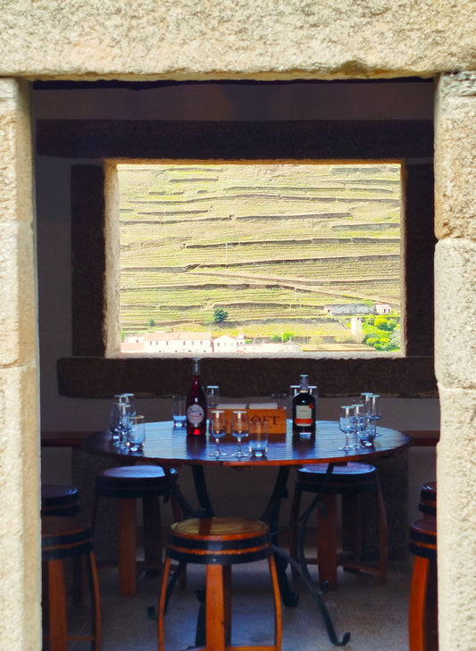 Secrets of Douro Valley near Porto