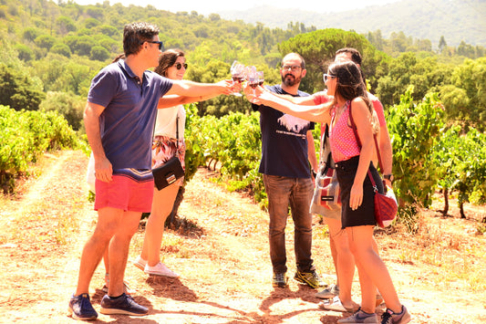 Full-Day Arrábida Wine Tour near Lisbon