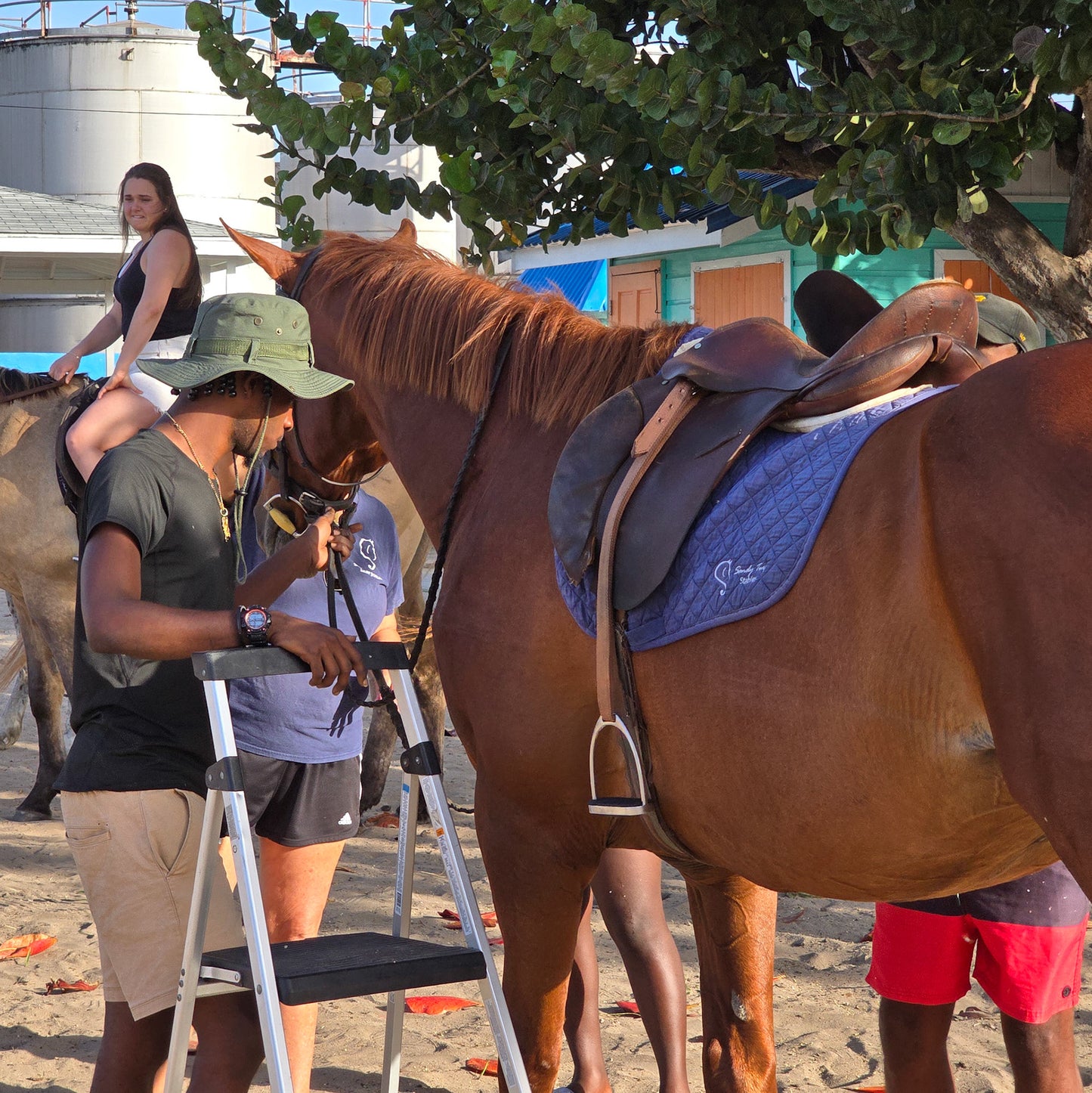 Brighton Beach, Barbados: 1.5-Hour Beach Ride & Swim with Horses
