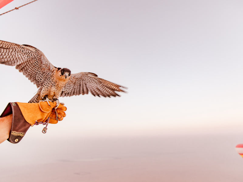 Private Hot Air Balloon Flight Over Dubai