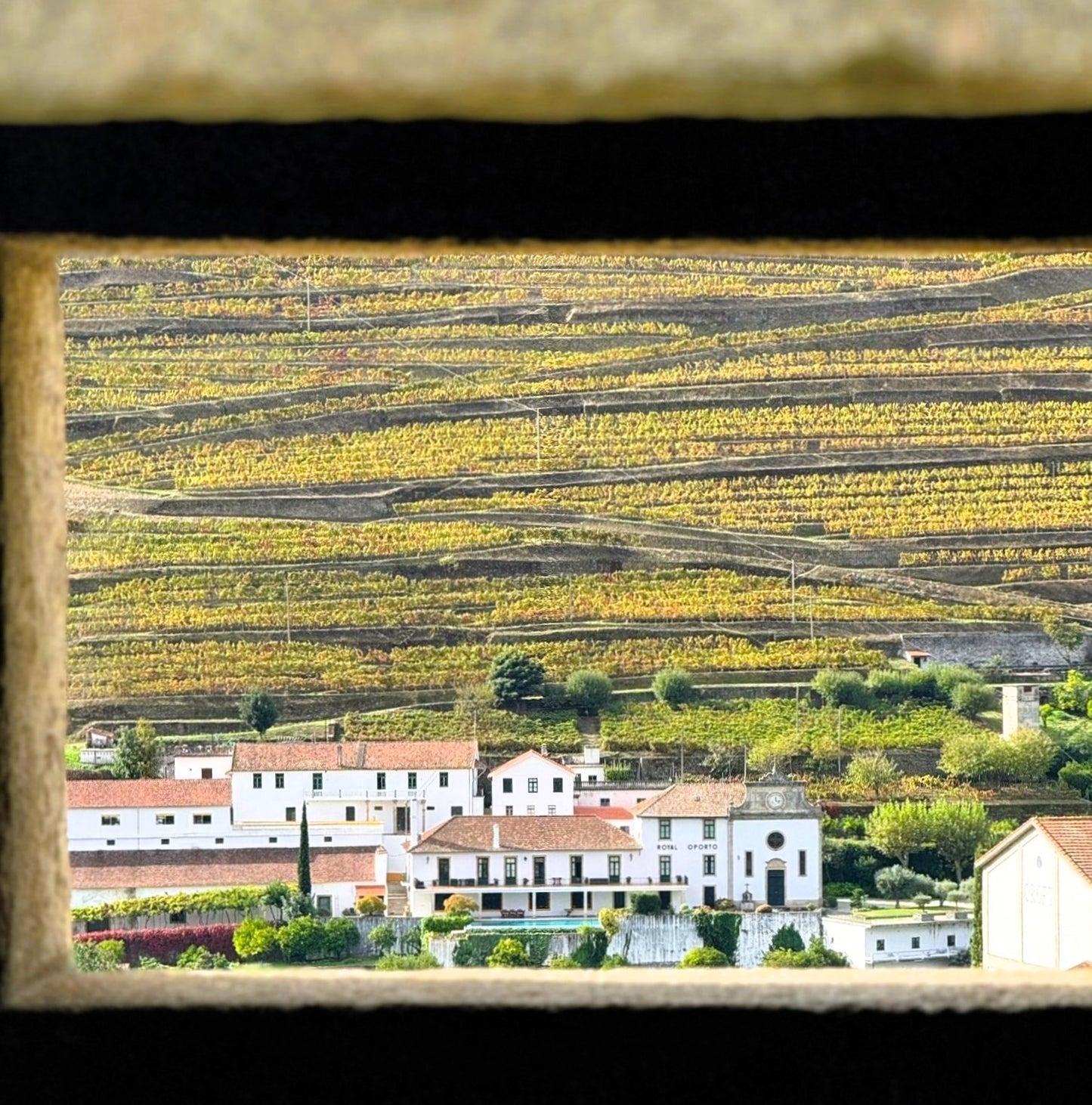 Luxury Private Experience in Douro Valley near Porto