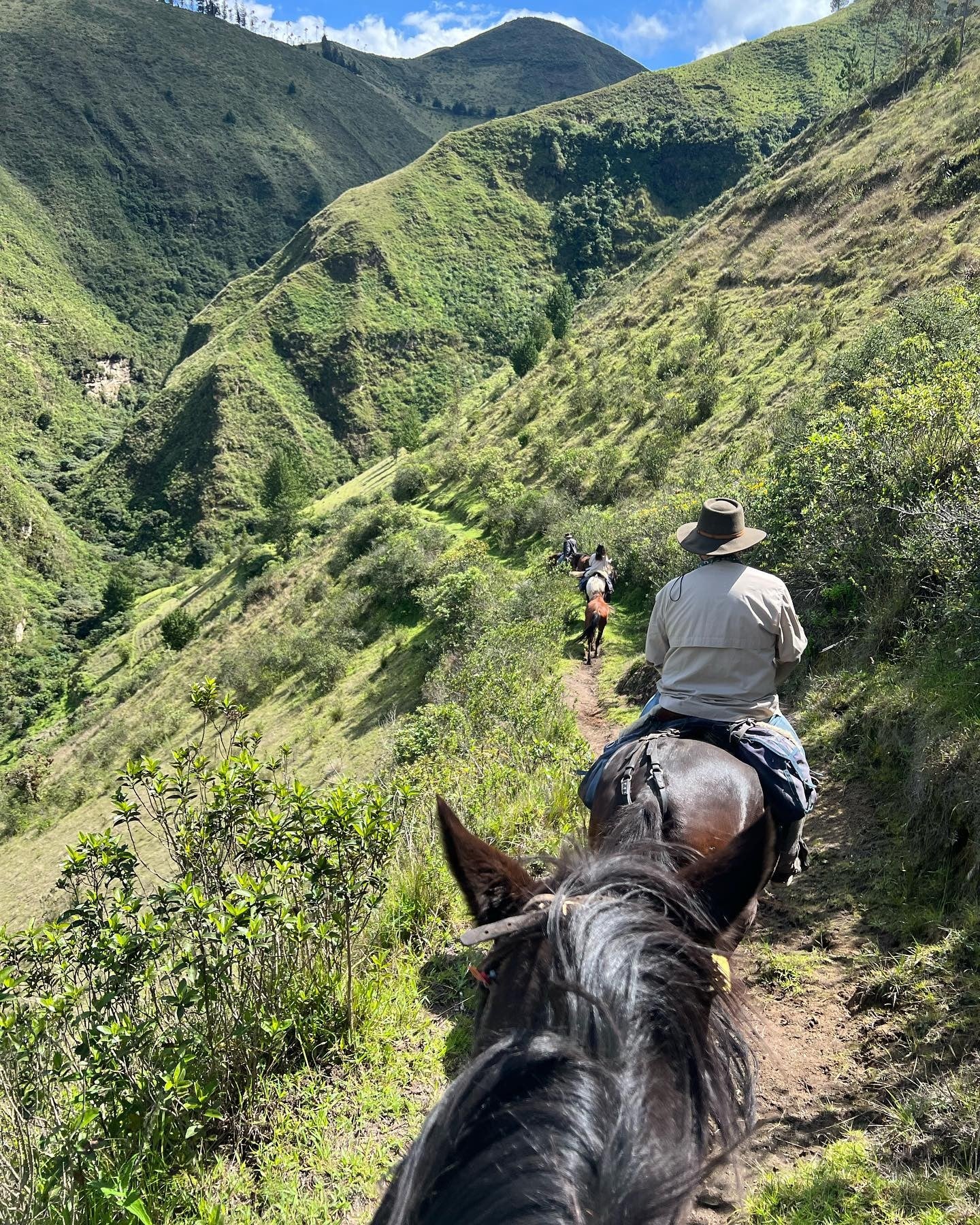 Pichincha: Private Heartwood Horse Adventure + Lunch + Beverages + Hotel Pick-up