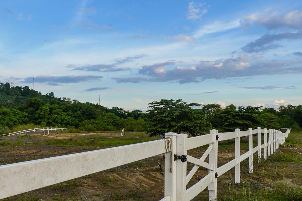 Davao: Green Scenic Horseback Ride Escape + Pick-up Available