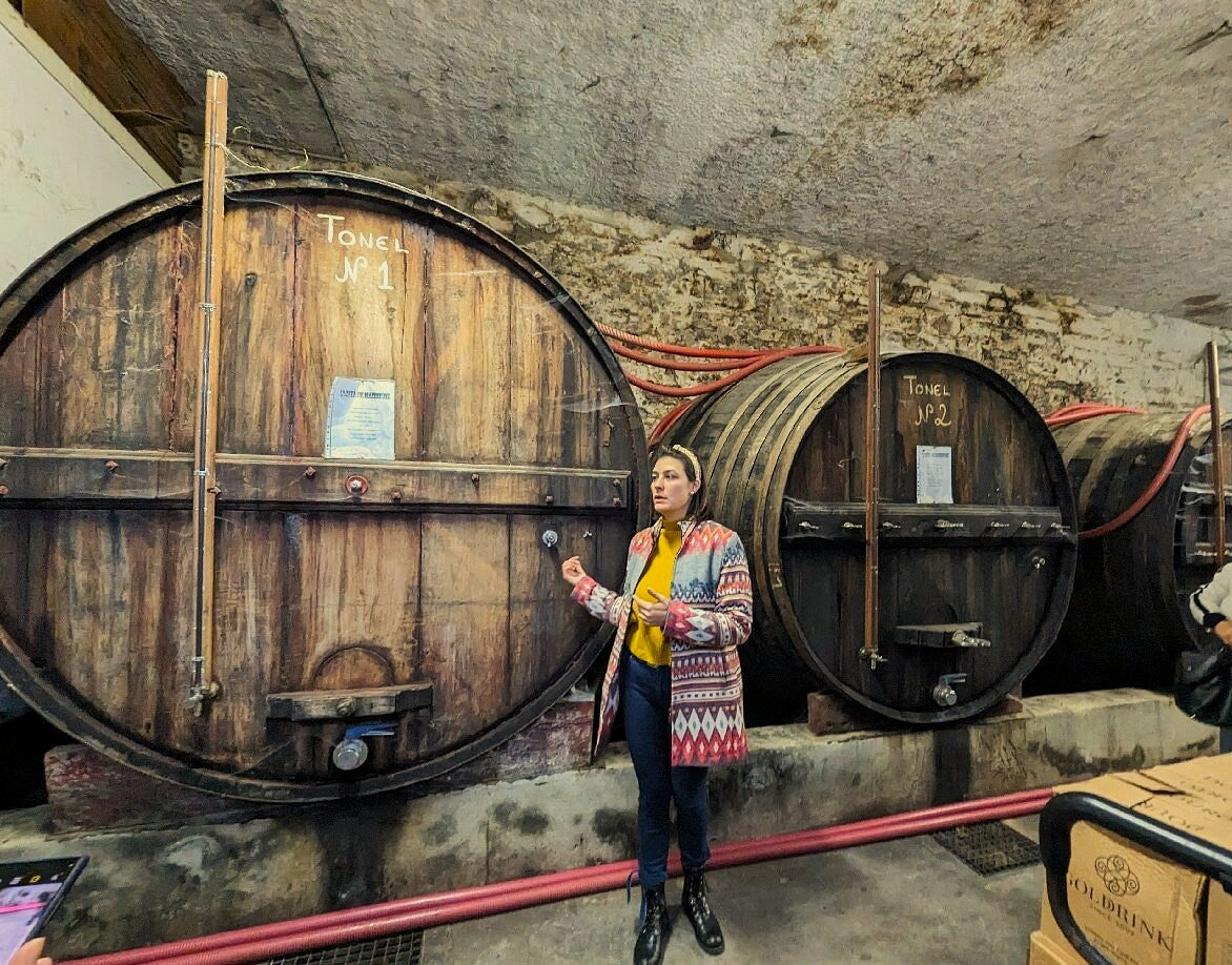 Premium Private Experience in Douro Valley near Porto