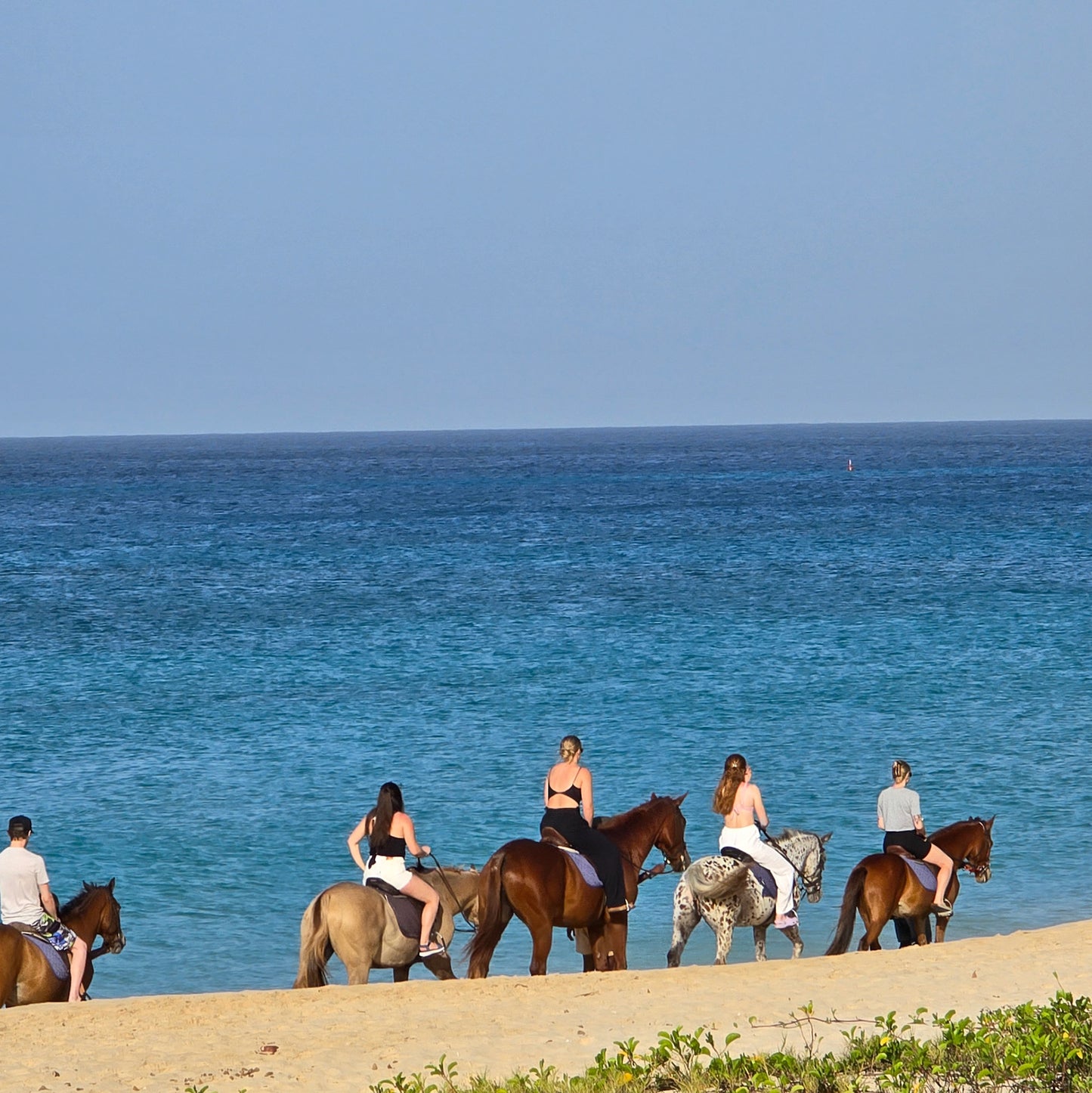 Brighton Beach, Barbados: 1.5-Hour Beach Ride & Swim with Horses