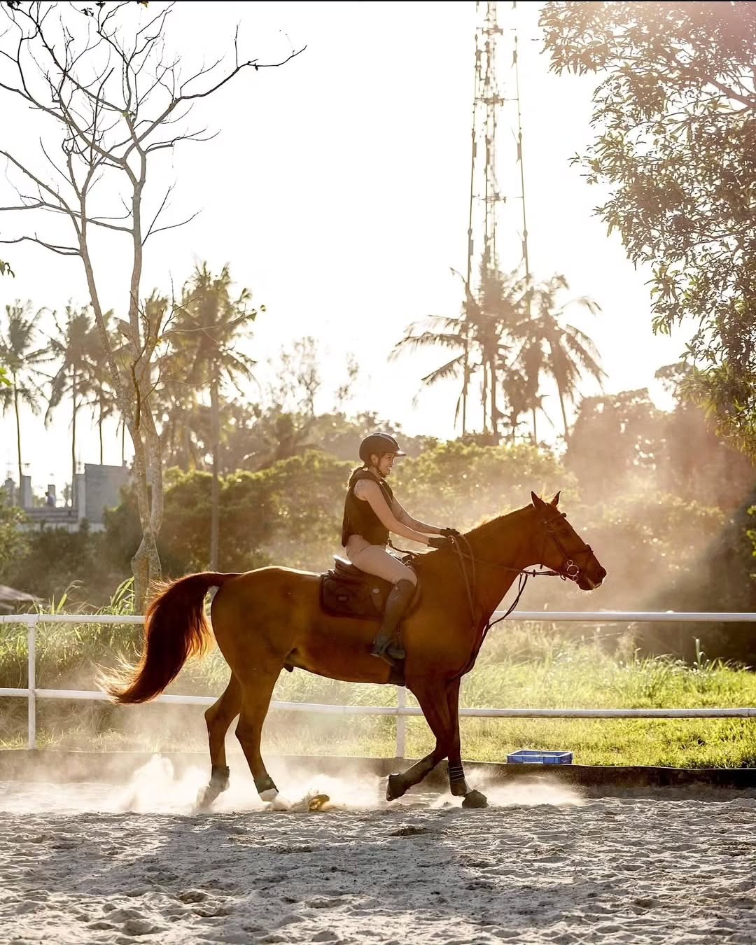 Silang: Into the Woods Horseback Ride Journey + Pick-up Available