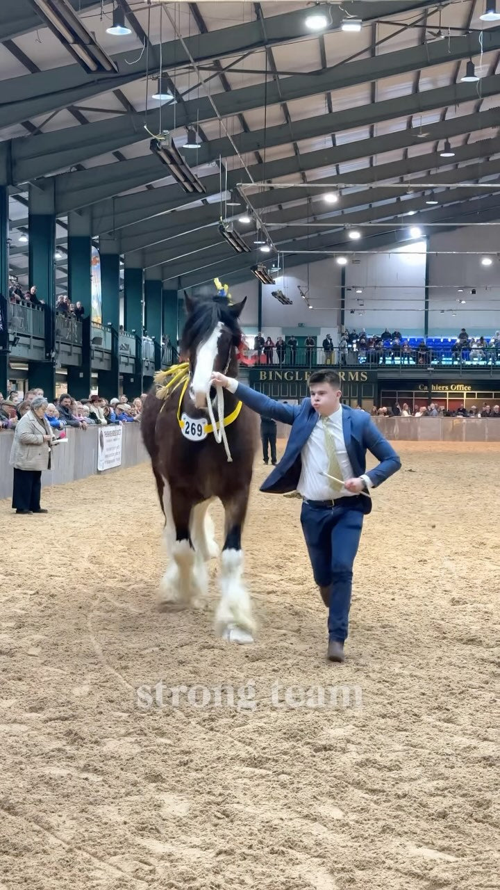 Chester: Private Heartwarming Shire Horse Day + Souvenir