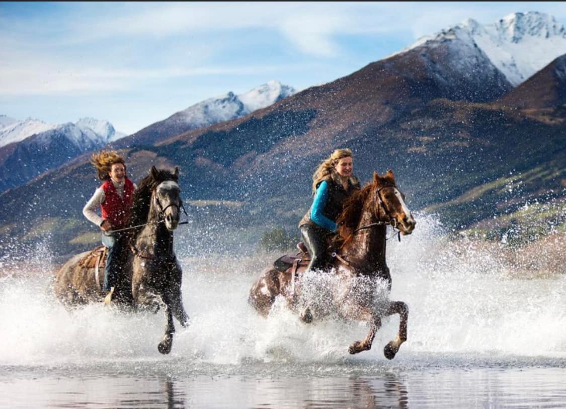 Glenorchy: Lavender Field & Rivers Horseback Ride + Pick-up Available
