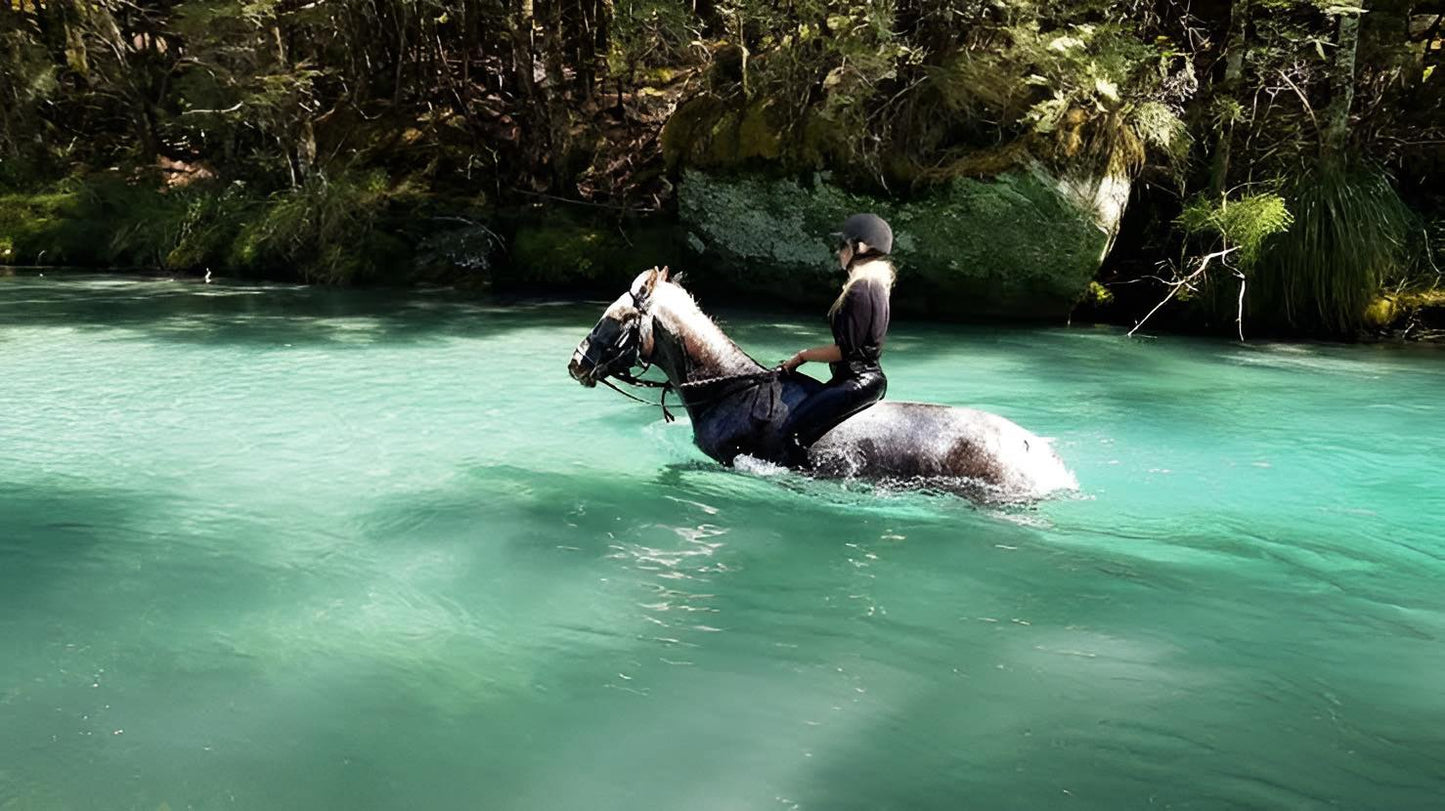 Glenorchy: Lavender Field & Rivers Horseback Ride + Pick-up Available