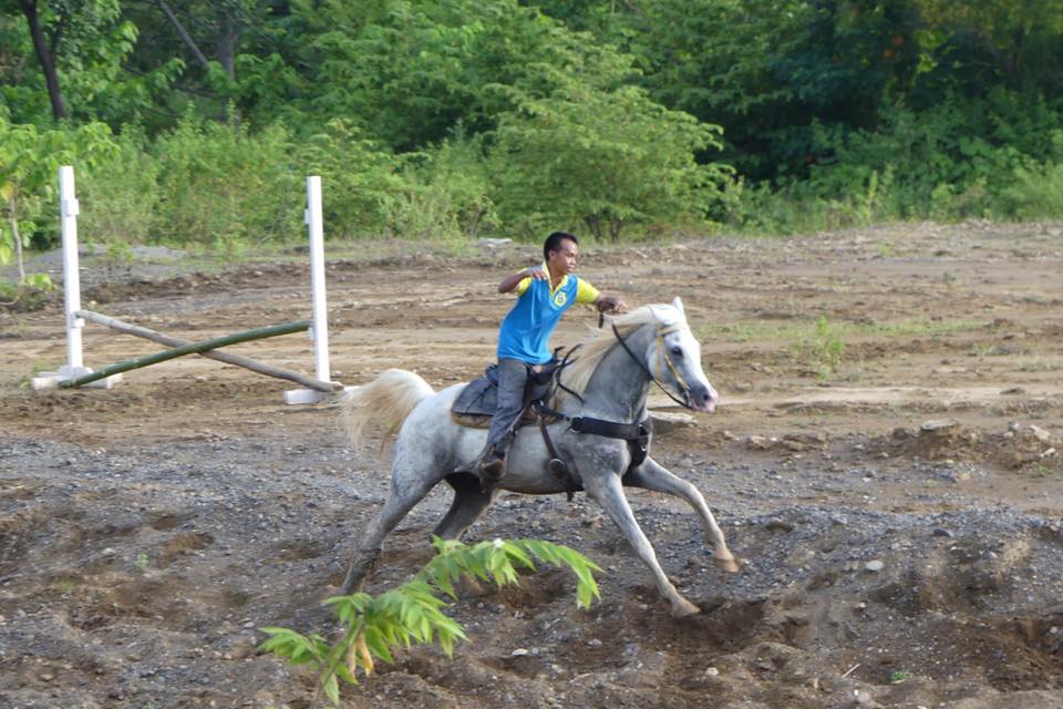 Davao: Green Scenic Horseback Ride Escape + Pick-up Available