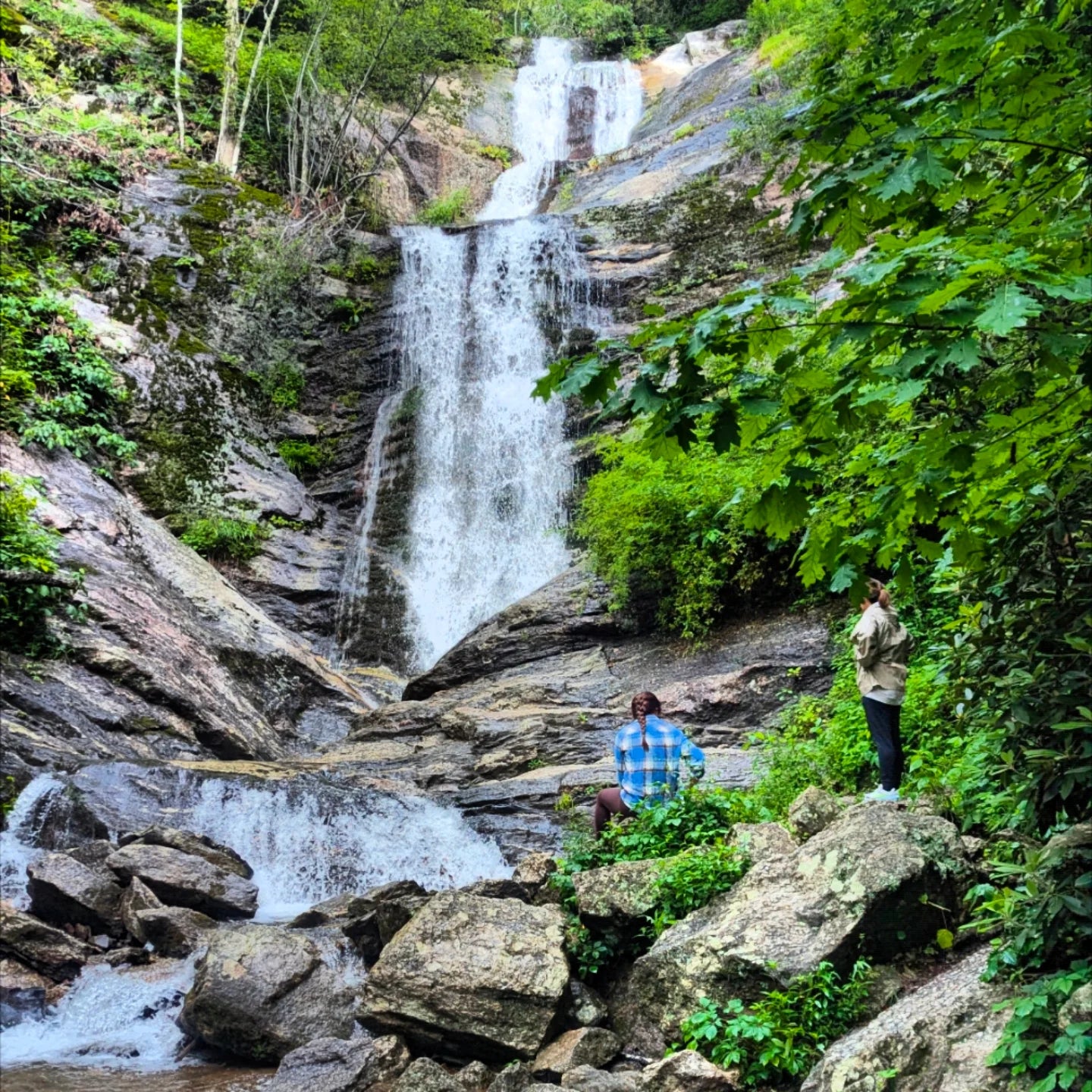 Asheville: Mindful Movement Micro-Retreats + Pick-up Available