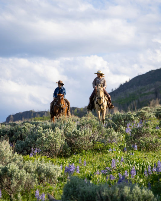 Granby: Rocky Mountain High-Lope Adventure + Pick-up Available