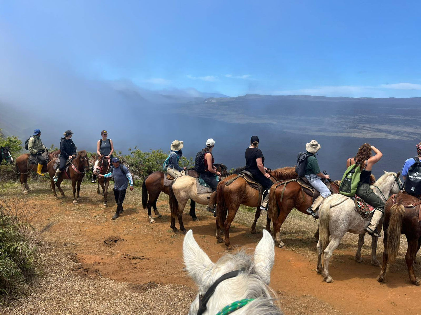 Isabela: Private Tropical Horseback Ride + Pick-up Available & Optional Lunch